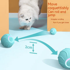 Best Auto Pet Toy Balls | Entertain & Exercise Your Pets!