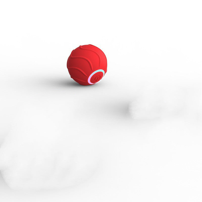 Best Auto Pet Toy Balls | Entertain & Exercise Your Pets!