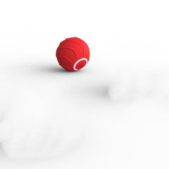 Best Auto Pet Toy Balls | Entertain & Exercise Your Pets!