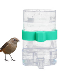 Munia Bird Automatic Water Drinker Parrots Parapet