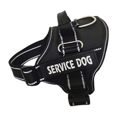 Chest Strap