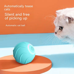 Best Auto Pet Toy Balls | Entertain & Exercise Your Pets!