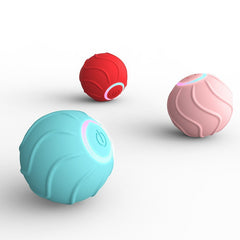 Best Auto Pet Toy Balls | Entertain & Exercise Your Pets!