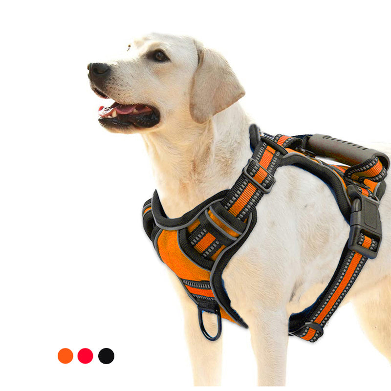 Pet Supplies