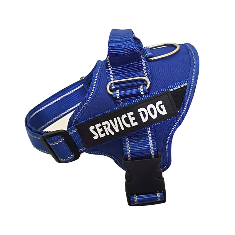 Chest Strap